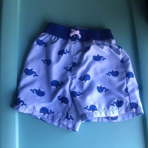 Whale swimming shorts